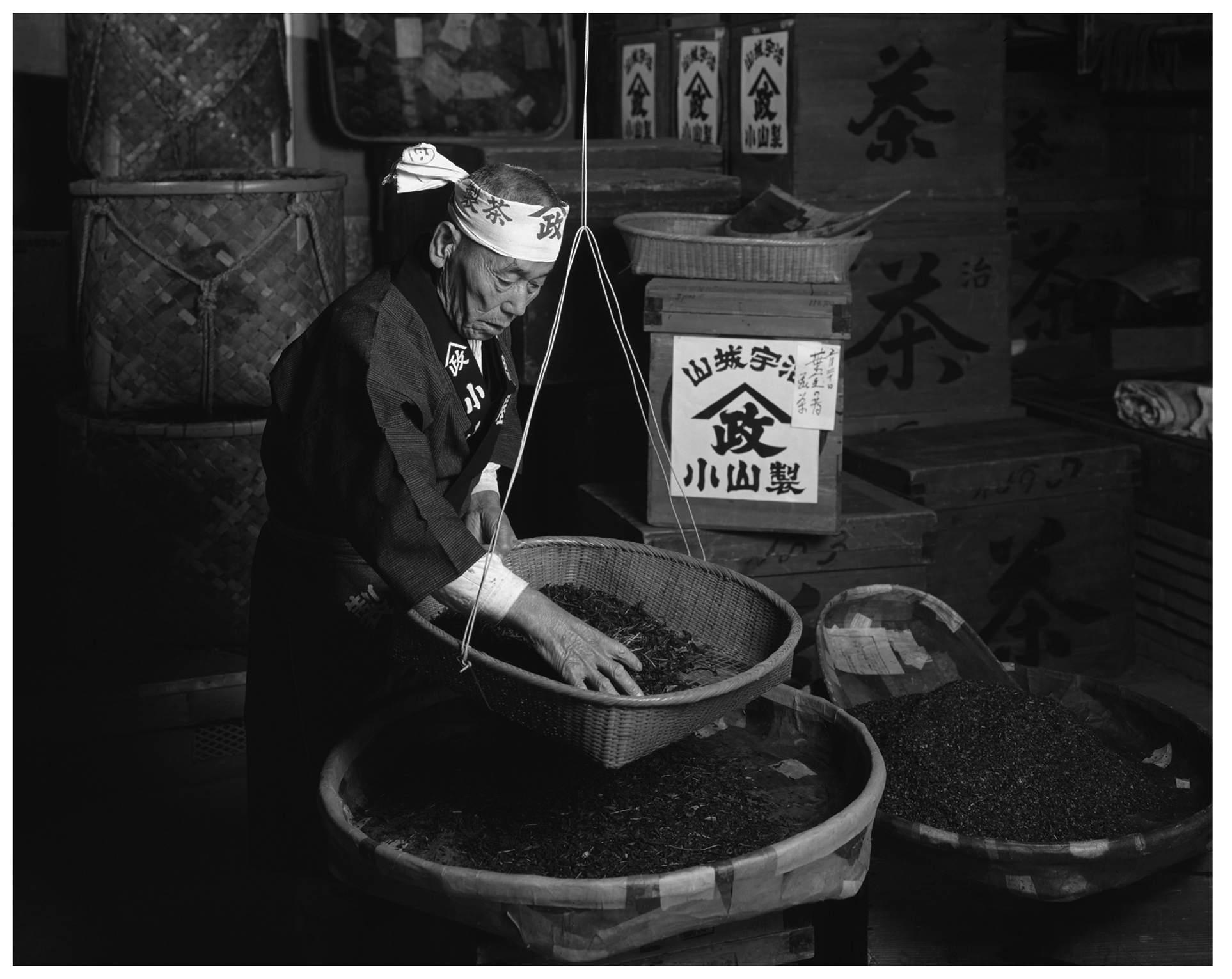 ポートレート山政小山園1